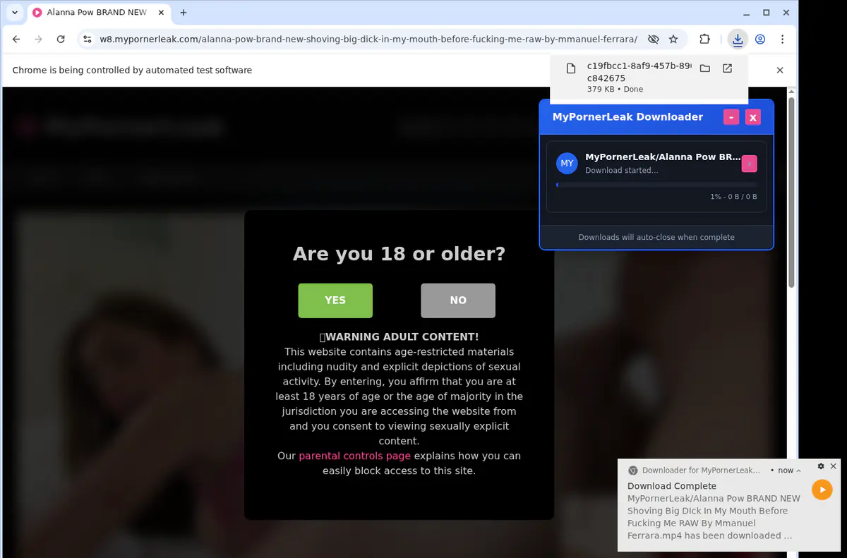 Mypornerleak Video Downloader browser extension screenshot 2