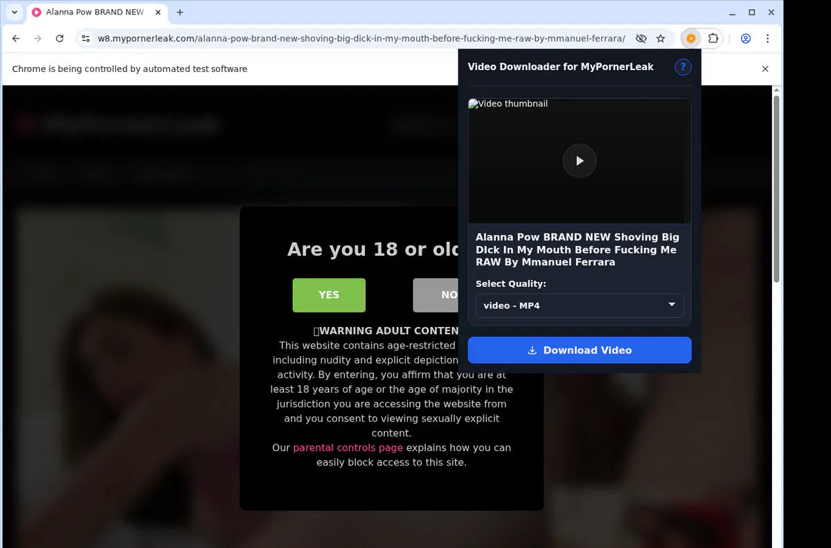 Mypornerleak Video Downloader browser extension screenshot 3