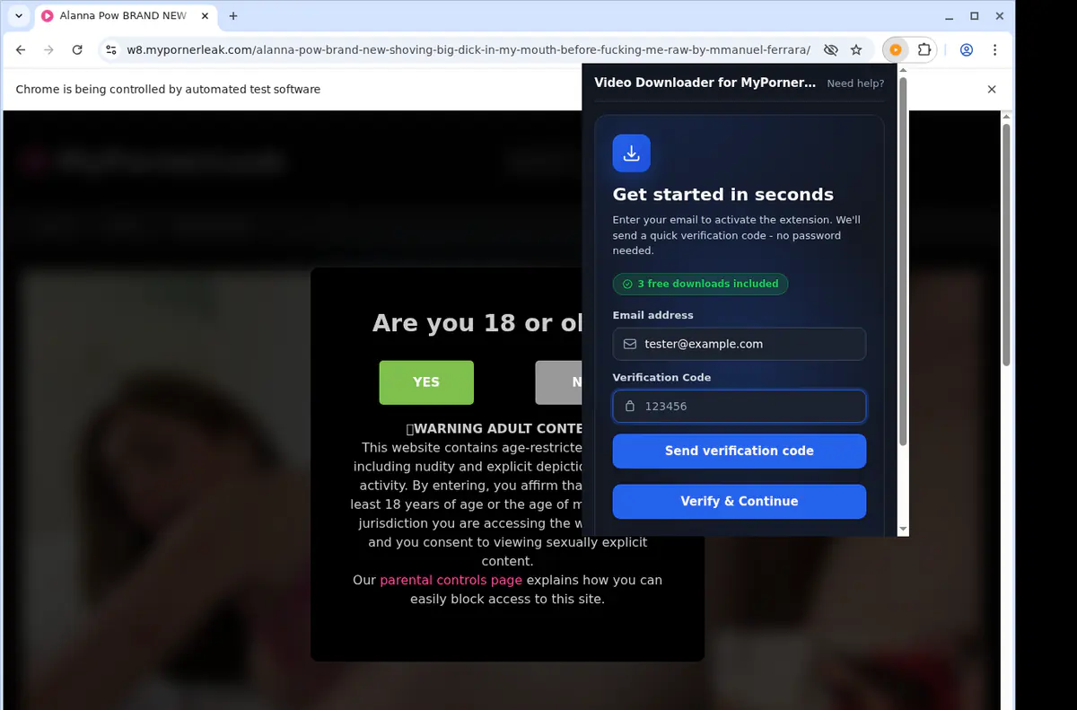 Mypornerleak Video Downloader browser extension screenshot 4