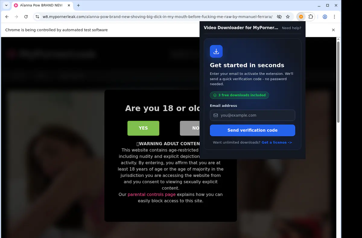 Mypornerleak Video Downloader browser extension screenshot 5